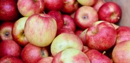Recipe of the Week - Apple & Beet Chutney