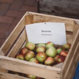 Westons' Antique Apples