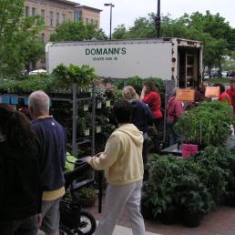 Domann's Plants LLC
